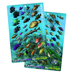 Fish Card, Caribbean 3d Motion